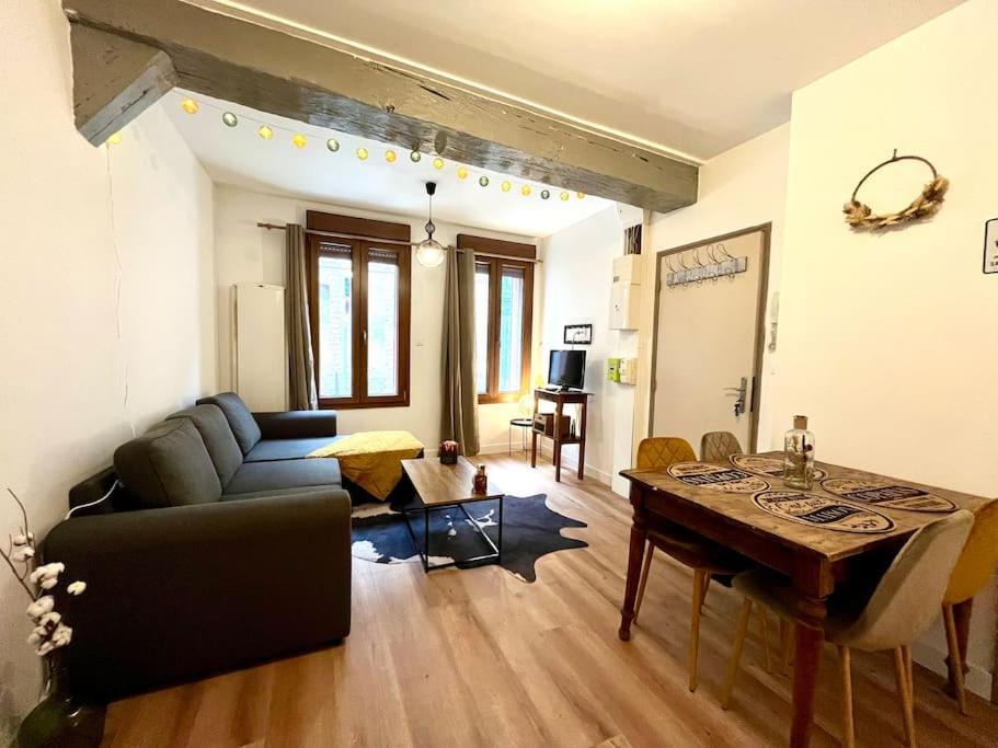 Apartamento Le Countryside- Hyper Centre Sens Exterior foto