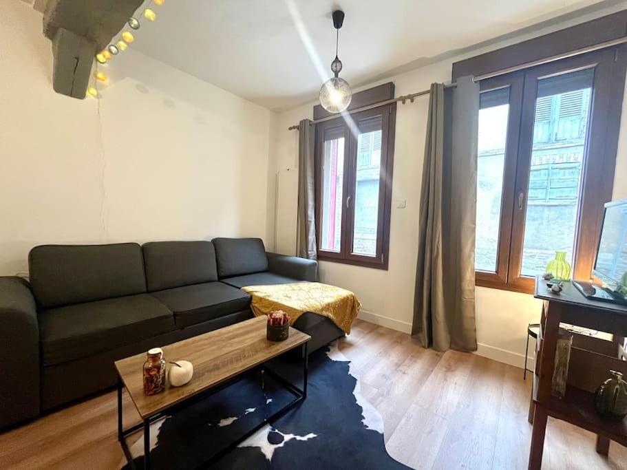 Apartamento Le Countryside- Hyper Centre Sens Exterior foto